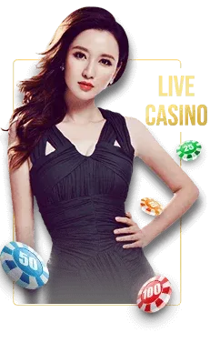 GD DYNASTY live casino – real dealers, real games, and real-time wins
