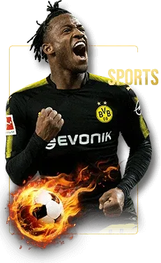 GD DYNASTY sports betting – bet on live matches and win online